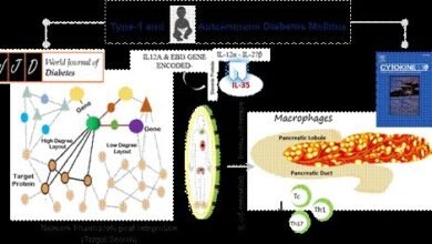 Photo of आईएल-35- मध्यस्थता इम्यूनोथेरेपी: टाइप I और ऑटोइम्यून डायबिटीज मेलिटस के लिए एक नया उपचार