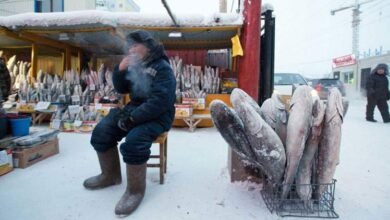 Photo of तापमान 50 डिग्री सेल्सियस तक गिर जाने के कारण दूरदराज के इलाकों के निवासी खुद को गर्म रखने के लिए अतिरिक्त उपाय कर रहे हैं।