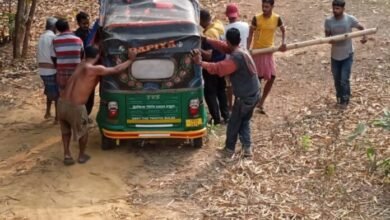 Photo of तेज रफ्तार ऑटो रिक्शा की चपेट में आने से कुछ घायल