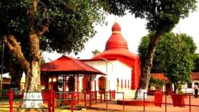 Photo of माताबारी में 28 कोप की बलि