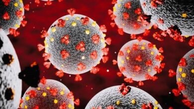 Photo of त्रिपुरा में पिछले 24 घंटे में 3 कोरोना मरीज मिले हैं