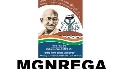 Photo of एमजीएन रेगा में जिरानिया कृषि उपमंडल में फलों और नकदी फसलों की खेती में सहायता