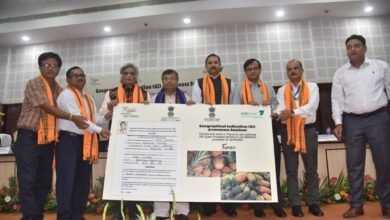 Photo of किसानों को रानी अनानास के जीआई टैग के इस्तेमाल की मिली मंजूरी, जीआई टैग की मंजूरी से राज्य के अनानास के किसानों को होगा फायदाः कृषि मंत्री