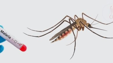 Photo of सचिवालय में मलेरिया एवं अन्य संचारी रोगों की समीक्षा बैठक में मुख्यमंत्री, मलेरिया नियंत्रण के लिए स्वास्थ्य विभाग मिशन मोड में काम करे