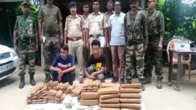 Photo of अंबासा क्षेत्र से दस लाख रुपए का सूखा गांजा जब्त