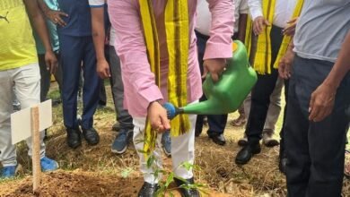 Photo of पर्यावरण के संतुलन को सुरक्षित रखने के लिए अधिक से अधिक पेड़ लगाने चाहिए: पर्यटन मंत्री