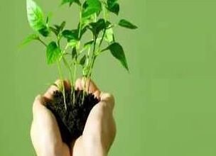 Photo of सब्रुम में बाणमहोत्सव उत्सव