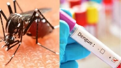 Photo of परिवार कल्याण एवं रोग निवारण विभाग के कार्यवाहक निदेशक ने संवाददाता सम्मेलन में कहा कि राज्य सरकार ने डेंगू पर नियंत्रण के लिए पहले ही कई कदम उठाये हैं.