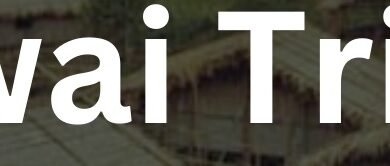 Photo of खोई परिषद आधारित मनसामंगल प्रतियोगिता