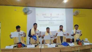 Photo of नागीचरा में मशरूम की खेती पर एक दिवसीय प्रशिक्षण शिविर, राज्य में मशरूम प्रसंस्करण केंद्र स्थापित करने की पहल: कृषि मंत्री