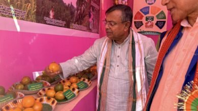 Photo of राज्य सरकार संतरा किसानों के साथ खड़ी है, राज्य में संतरे की वैज्ञानिक पद्धति से खेती की गई है: कृषि मंत्री