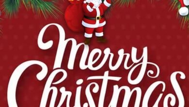 Photo of मुख्यमंत्री ने क्रिसमस के अवसर पर प्रदेशवासियों को हार्दिक बधाई एवं शुभकामनाएं दीं