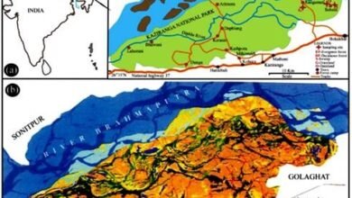 Photo of काजीरंगा राष्ट्रीय उद्यान की मिट्टी से पराग पर निगाह रखने वाला नया अध्ययन जलवायु और वनस्पति परिवर्तन की व्याख्या कर सकने के साथ ही  राष्ट्रीय जैव विविधता मिशन को सूचित करने में भी सहायता कर सकता है