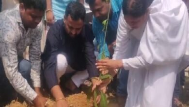 Photo of ১৩ প্রতাপগড় যুব মোর্চার উদ্যোগে বৃক্ষরোপণ কর্মসূচি