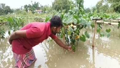 Photo of भारी बारिश के कारण किसानों के सब्जी के खेत पानी में डूब गये हैं