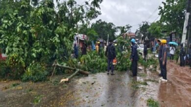 Photo of भारी तूफान के कारण सब्रम-अगरतला राष्ट्रीय सड़क पर कई पेड़ उखड़ गए