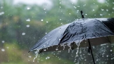 Photo of बोंगोपो सागर में निम्न दबाव, मौसम कार्यालय को चेतावनी