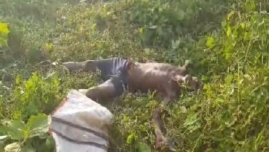 Photo of जंगल से शव बरामद