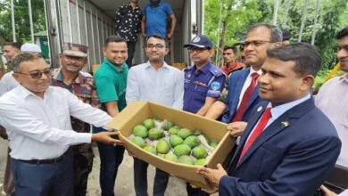 Photo of बांग्लादेश की प्रधान मंत्री शेख हसीना ने राज्य के मुख्यमंत्री के लिए देश के प्रसिद्ध हरि वंगा आम, नेशनल मास हिल्सा और रसगुल्ला को उपहार के रूप में भेजा।