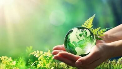 Photo of खोई में विश्व पर्यावरण दिवस समारोह