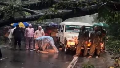 Photo of सिपाहीजला नाव घाट इलाके में सड़क पर पेड़ गिरने से करीब एक घंटे तक यातायात रुका