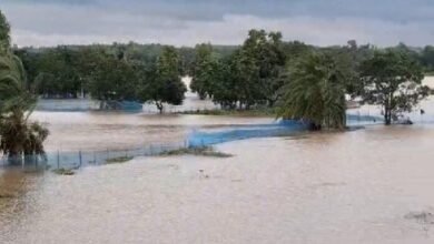 Photo of बाढ़ग्रस्त राज्य की सीमा से लगे क्षेत्र