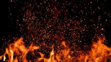 Photo of दामाद ने पेट्रोल डालकर जला दिया ससुराल