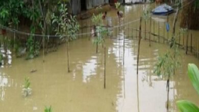 Photo of सहकारिता विभाग ने संवाददाता सम्मेलन में बताया कि हाल ही में राज्य में आयी बाढ़ से 2 करोड़ 75 लाख रुपये की संपत्ति का नुकसान हुआ है