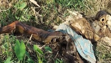 Photo of बाढ़ के पानी में डूबे व्यक्ति का कंकाल बरामद