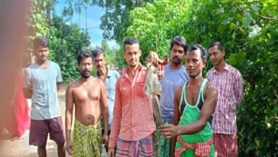 Photo of दक्षिण चारिलम चौमुहानी पारा क्षेत्र से दुर्लभ प्रजाति के जानवरों का बचाव