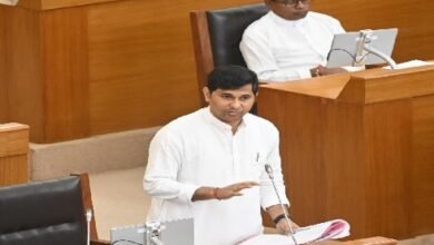 Photo of राष्ट्रीय पशुधन मिशन में राज्य के 11 पशुपालकों को दिया गया सहयोग: पशु संसाधन विकास मंत्री