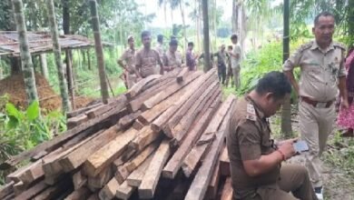Photo of उत्तरी त्रिपुरा जिले के वन विभाग के झटिका ऑपरेशन के दौरान 10 लाख रुपये मूल्य की अवैध लकड़ी बरामद की गई