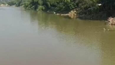 Photo of नदी में नवजात शिशु का शव मिलने से हड़कंप मच गया है