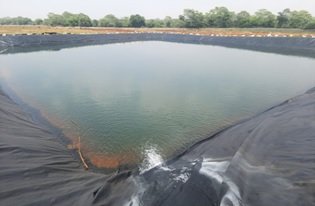 Photo of पशुपालन एवं डेयरी विभाग ने विशेष अभियान 4.0 का सफलतापूर्वक संपन्न किया