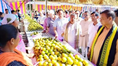 Photo of किला में राज्यव्यापी संतरा महोत्सव का उद्घाटन, उन्नत वैज्ञानिक तरीकों के प्रयोग से संतरे का उत्पादन बढ़ा: कृषि मंत्री