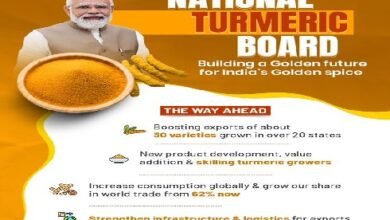 Photo of राष्ट्रीय हल्दी बोर्ड की स्थापना बहुत प्रसन्नता की बात है, विशेष रूप से पूरे भारत के हमारे मेहनती हल्दी किसानों के लिए : प्रधानमंत्री