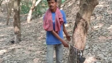 Photo of रबर बागानों में हिंसक उत्पात