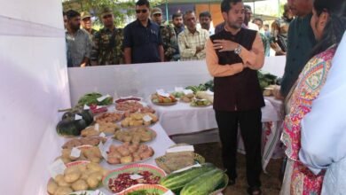 Photo of पीएम किसान योजना की 19वीं किस्त का वितरण, सरकार का उद्देश्य किसानों को आत्मनिर्भर बनाना: सहकारिता मंत्री