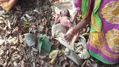 Photo of सड़क किनारे जंगल से नवजात बच्ची को बचाया गया