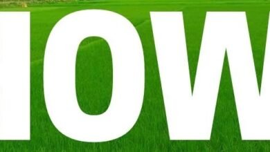 Photo of खोवाई जिला परिषद सामाजिक न्याय स्थायी समिति की बैठक आयोजित