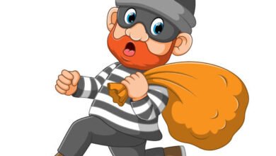 Photo of स्कूलों और आंगनवाड़ी केंद्रों में चोरी