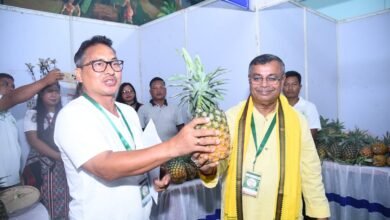 Photo of 7 वर्षों में 73 मीट्रिक टन से अधिक अनानास का विदेश में निर्यात किया गया: कृषि मंत्री