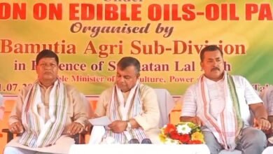 Photo of पाम ऑयल की खेती से रोजगार के अवसर भी पैदा होंगे: कृषि मंत्री