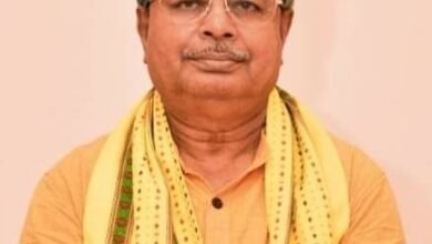 Photo of प्रकृति का संतुलन बनाए रखने के लिए अधिकाधिक पेड़ लगाने की आवश्यकता: कृषि मंत्री