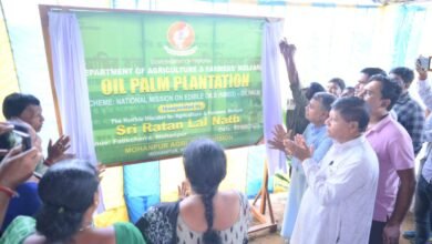 Photo of राज्य में पाम ऑयल की खेती को और अधिक लोकप्रिय बनाने की पहल की गई है: कृषि मंत्री