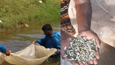 Photo of वैज्ञानिक आधारित मत्स्य पालन: बिलोनिया में जागरूकता शिविर एवं चर्चा समूह