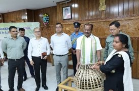 Photo of गवर्नर ने डुकली ब्लॉक के 5 सेल्फ-हेल्प ग्रुप्स को बत्तख के बच्चे बांटे